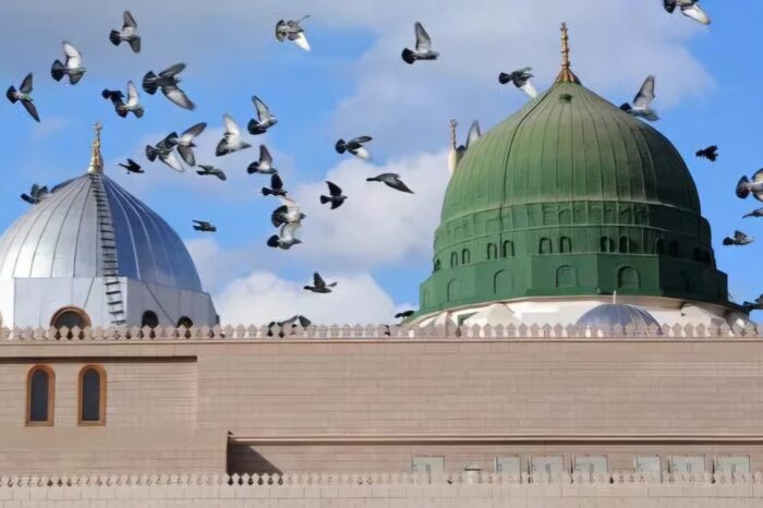 Arabia Saudí Inolvidable