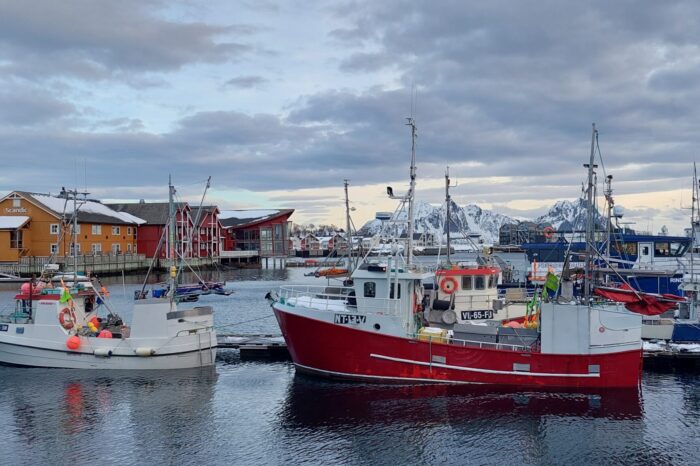 Auroras en Tromsø y Lofoten